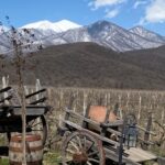 WeinanbaugebietimSuedosten